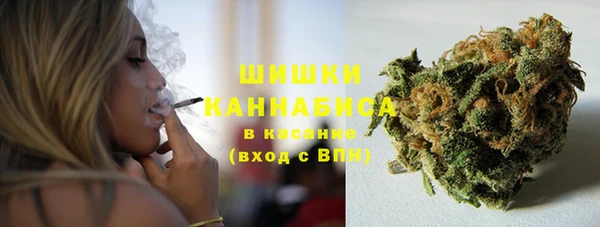 индика Балабаново