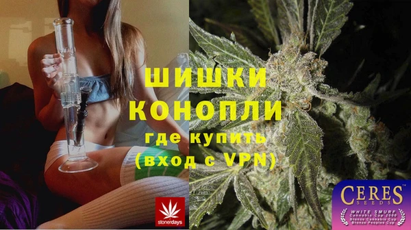 индика Балабаново