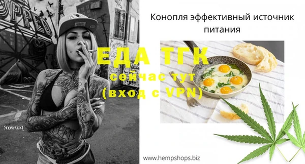 индика Балабаново