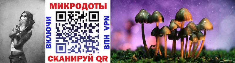 Галлюциногенные грибы ЛСД Лабытнанги